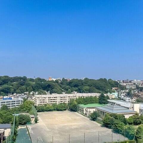 二子玉川ライズタワー&レジデンスタワーセントラルの室内写真