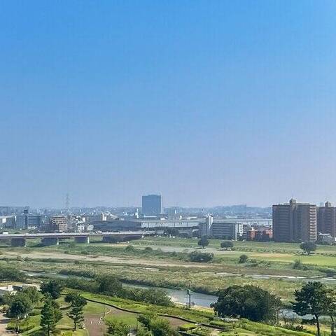 二子玉川ライズタワー&レジデンスタワーセントラルの室内写真