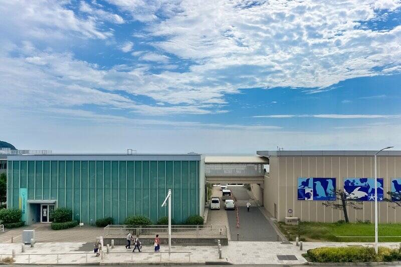 たまらずバルコニーへ。「新江ノ島水族館」越しに水平線が見えています！