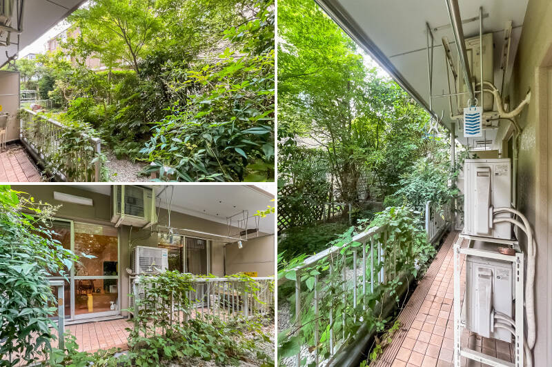 専用庭の広さは約18㎡。植栽が伸びやかに育ち、涼やかな印象です。