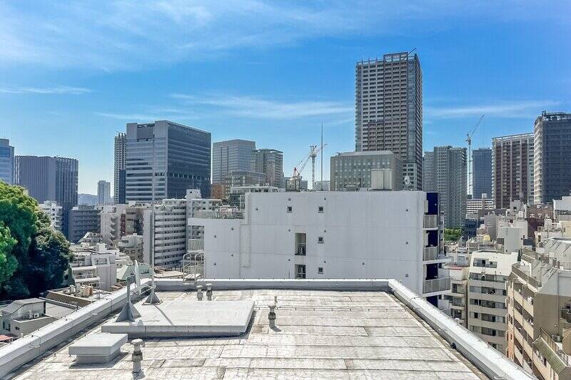 こちらの物件には、西側と南東側の二面にルーフバルコニーがあります。LDKを含めすべての居室からアクセスできる西側は、大きな空を背景にビル群を望む都心らしいビュー。
