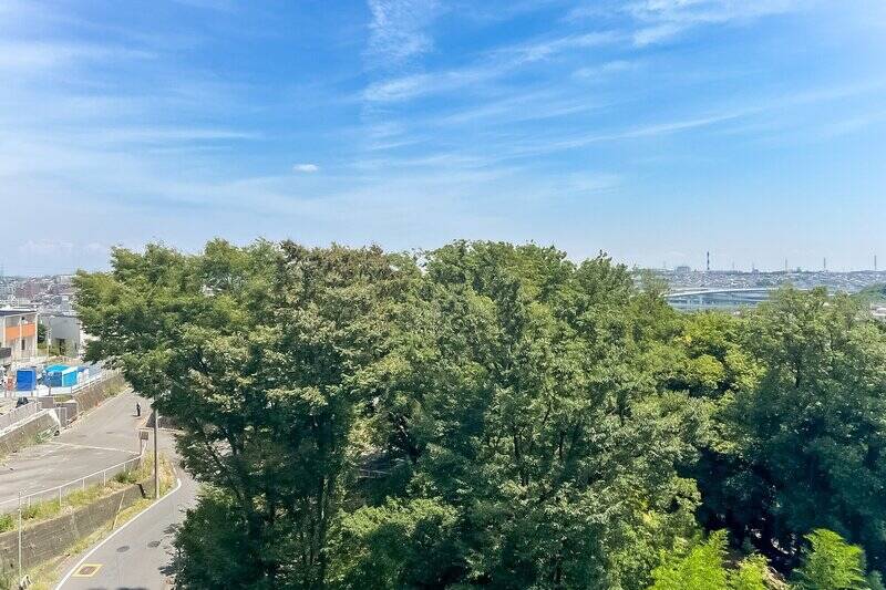 『スカッとする景色』とはまさにこのこと。目の前には木々の枝葉が広がり、大空も仰げます。