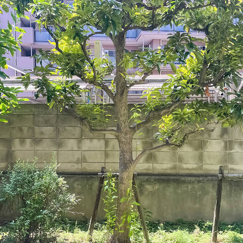 セントヒルズ田園調布の室内写真