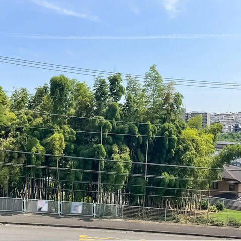 レクシオ宮前平ヒルズの室内写真