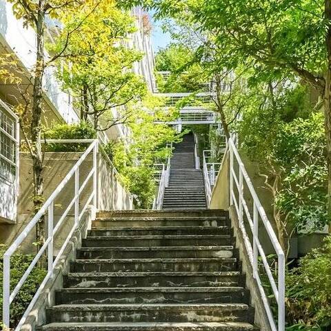 ゆりが丘ヴィレッジの建物・共用部写真