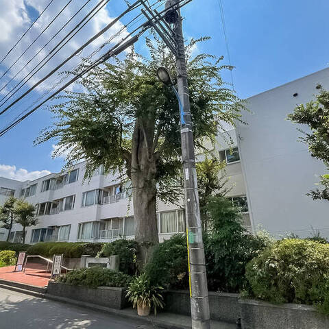パイロットハウス北新宿の室内写真