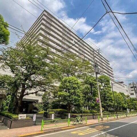 月島ホームズの室内写真