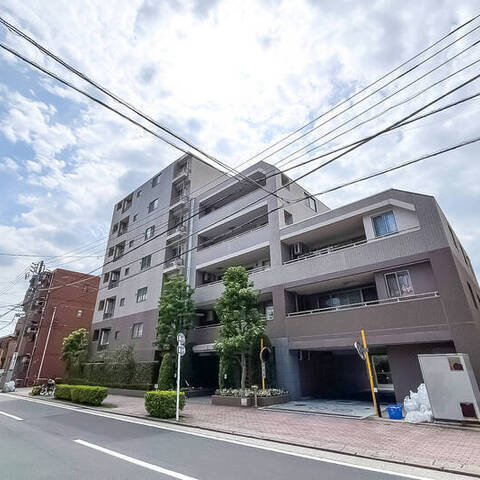藤和シティホームズ武蔵小杉御殿町の室内写真