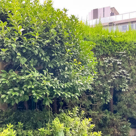 藤和千歳船橋ホームズの室内写真