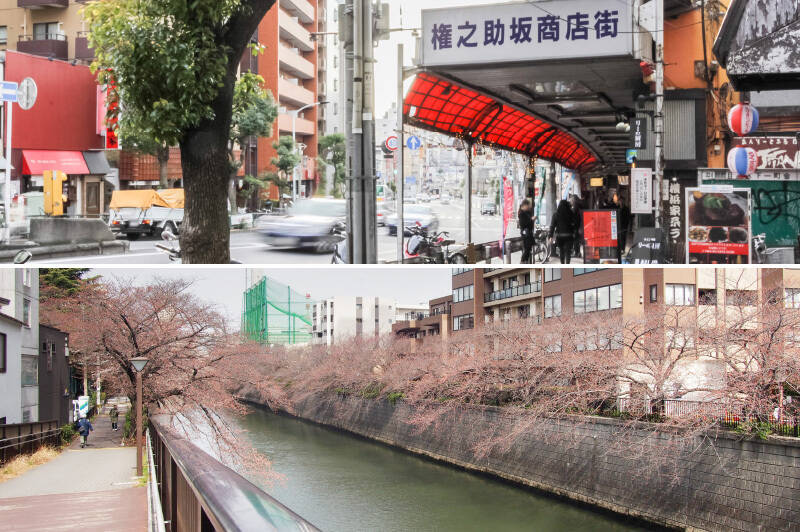 <b>上・</b>マンションが建つのは東口から延びる「権之助坂商店街」沿い。たった3分の間に美味しい誘惑が目白押しです。/<b>下・</b>4分歩けば桜並木が見事な「目黒川」沿いに到着。