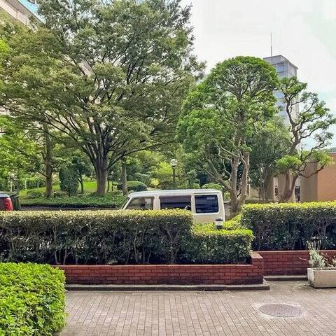 多摩川ハイム3号棟の眺望・バルコニー写真
