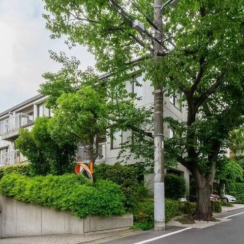 大岡山グリーンハイツの建物・共用部写真
