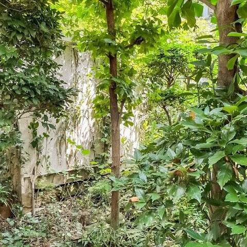 パレス池田山の眺望・バルコニー写真