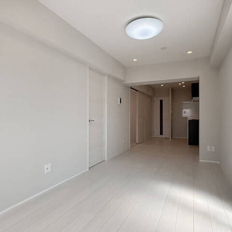 メイゾン向島の室内写真