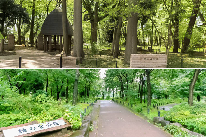 <b>上・</b>住戸の南西側の「三井の森公園」。マンションの敷地の一部です。／<b>下・</b>南東側に隣接している「柏の宮公園」。（いずれも徒歩1分）