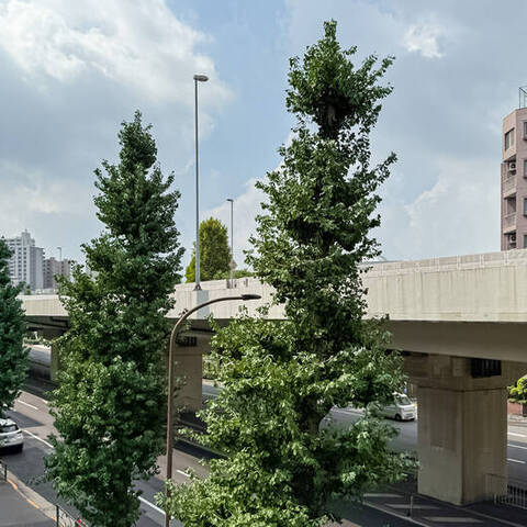 セブンスターマンション第7五反田の室内写真