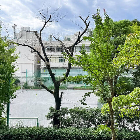 サンシティＪ棟の室内写真