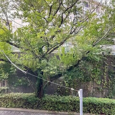常盤台パークハイツの室内写真