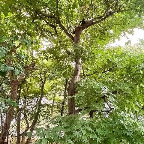 パークホームズ祖師谷ガーデンズコートの室内写真