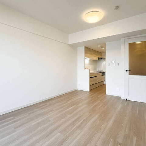 元住吉南パークホームズの室内写真