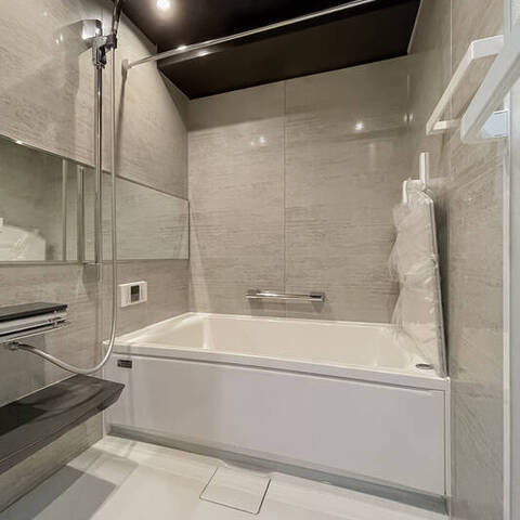 デュオスカーラ赤坂2の室内写真