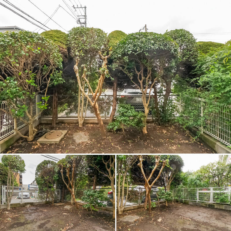 正面には枝ぶりが可愛い木々。北側は住宅街の路地に面し、南側はお隣の専用庭と接しています。
