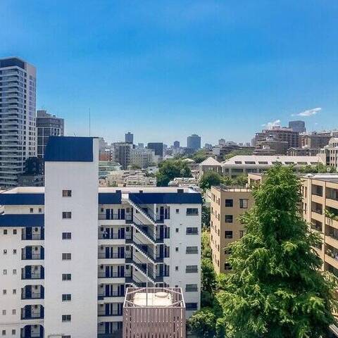 日神パレステージ西麻布の眺望・バルコニー写真