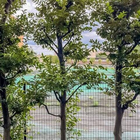 ナイスアーバン志村坂上の室内写真