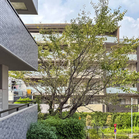 セザール赤塚ガーデンの室内写真