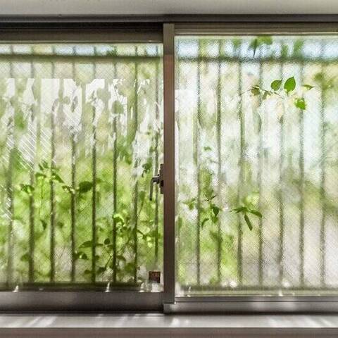 SMKAの眺望・バルコニー写真