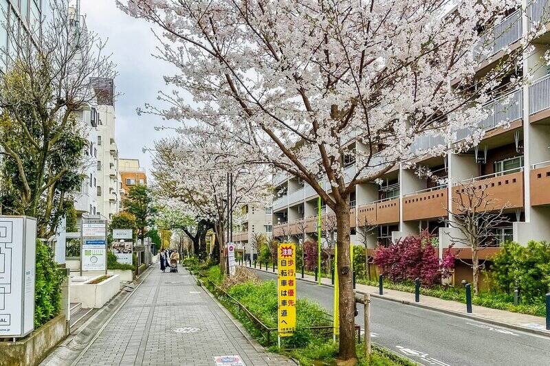 マンションは、かつての玉電・砧線跡の「花みず木通り」沿いです。歩道が広々としていて、歩いているだけで気持ちのいい通りです。春には桜も楽しめますよ。