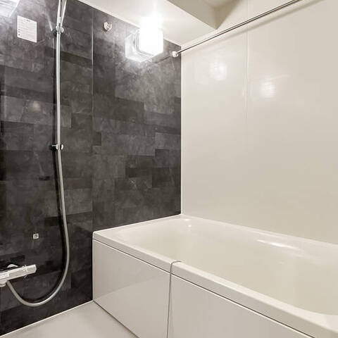 セザール第三溝ノ口の室内写真