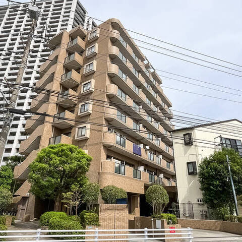 セザール第三溝ノ口の室内写真