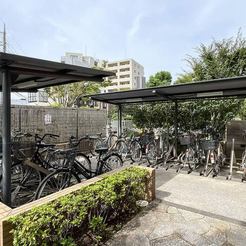 セザール第三溝ノ口の室内写真