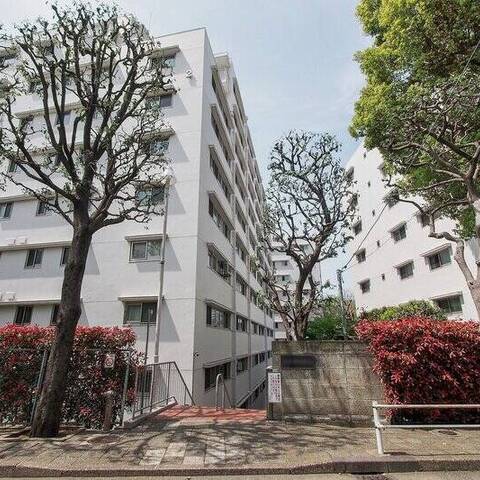 上野毛ハイム３号棟の建物・共用部写真