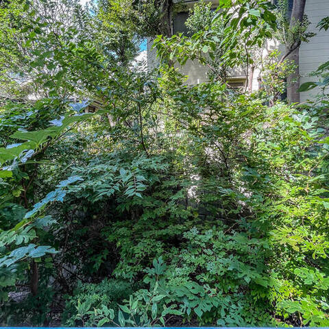 ワールドパレスの室内写真