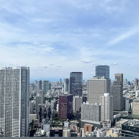 芝浦アイランドグローヴタワーの室内写真