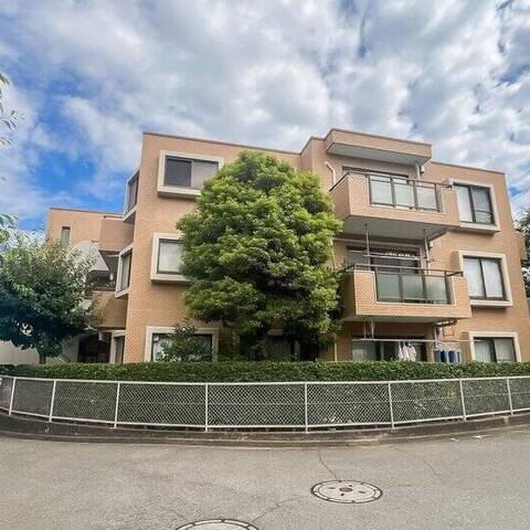 バームハイツ菊名の建物・共用部写真