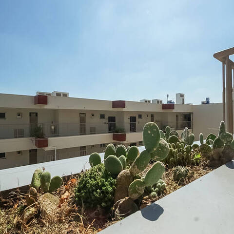 弦巻リハイムの眺望・バルコニー写真