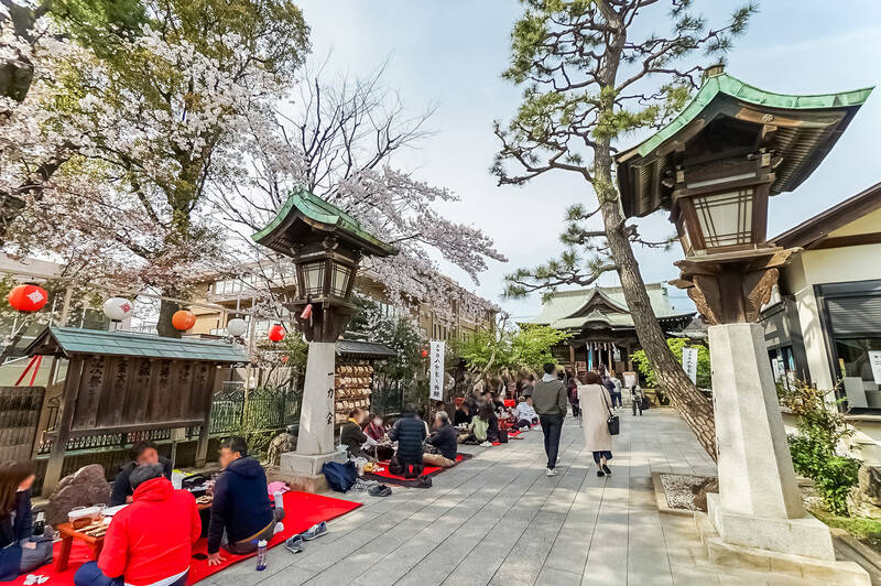 最後は「<b>桜神宮</b>」へ。桜の名所としても知られ、春には限定御朱印を目当てに多くの人が訪れるそう。(徒歩13分)