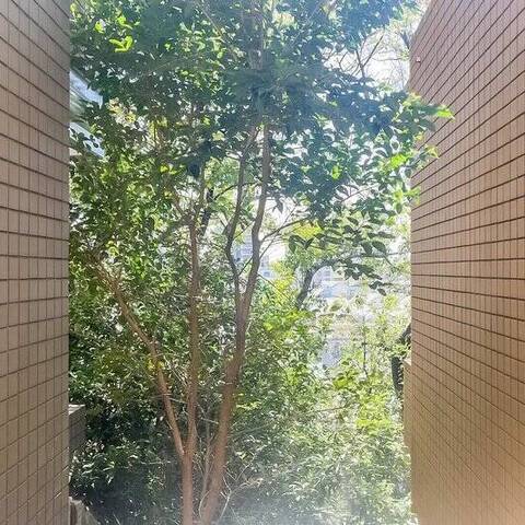 パーク・コート山王の室内写真
