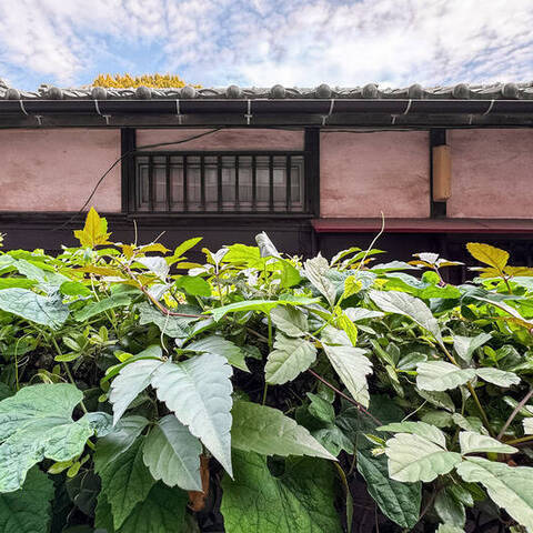 レクセルマンション国分寺の室内写真