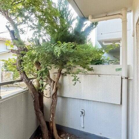 ライオンズマンション豊島園第2の室内写真