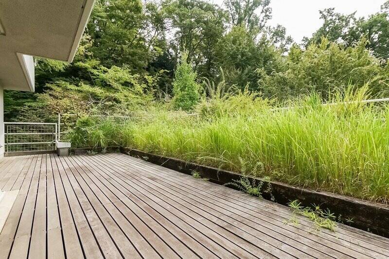 現在は緑が鬱蒼としていますが、きちんと剪定した暁には見違えるように素敵なお庭が広がりますよ。