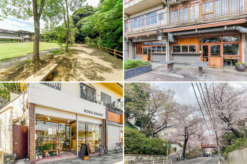 <b>左上・</b>緑豊かな「田園調布せせらぎ公園」。2021年には隈研吾建築の「せせらぎ館」もオープンし、多彩なイベントが開催されています。(徒歩14分)/<b>右上・</b>多摩川を望めるテラス席が気持ちのいいレストラン「Tamagawa DINER(タマガワダイナー)」。テラス席はワンちゃんもOKです!(徒歩12分)/<b>左下・</b>人気のベーカリーカフェ「NORA BAKERY(ノラベーカリー)」。テイクアウトして多摩川沿いで食べるのも◎(徒歩12分)/<b>右下・</b>「桜坂」は名前の通り、道の両側に桜が並び、お花見スポットとして人気です。(徒歩8分)