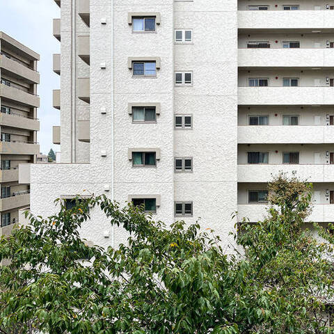 オリエンタルグリーンコーポラスの室内写真