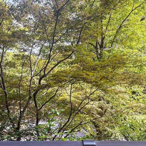 広尾ガーデンヒルズウエストヒル(I〜K棟)の室内写真