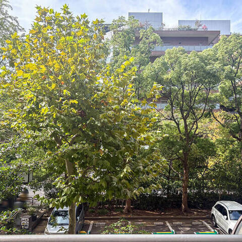 広尾ガーデンヒルズウエストヒル(I〜K棟)の室内写真