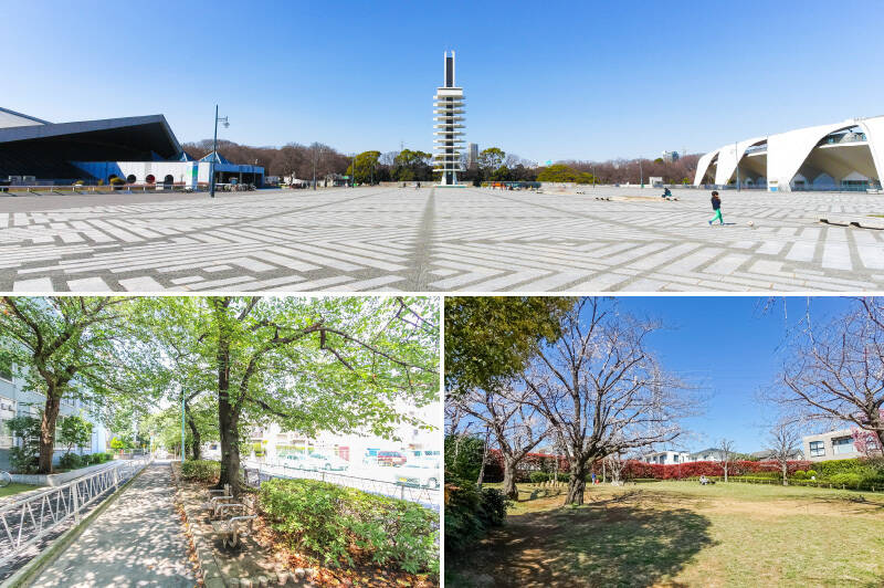物件の所在地は “世田谷区等々力”。「駒沢オリンピック公園」（写真上・徒歩17分）、「呑川緑道」（写真左下・徒歩8分）、「等々力八丁目公園」（写真右下・徒歩2分）など、ペットやお子さまと自然を満喫できる環境です。