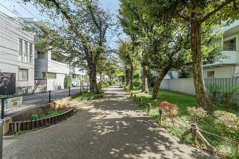 四季折々の自然を楽しめる「烏山川緑道」の写真もどうぞ! 取材後に歩いてみましたが、木漏れ日が気持ちいい素敵な散歩道でしたよ。世田谷区を横断するように延びる、全長7kmもある緑道なんですって。